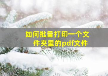 如何批量打印一个文件夹里的pdf文件