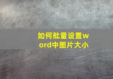 如何批量设置word中图片大小