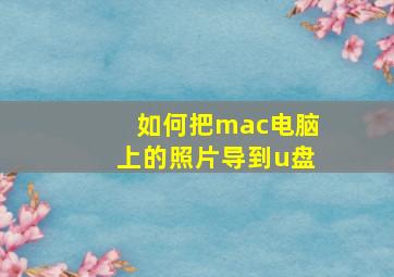 如何把mac电脑上的照片导到u盘