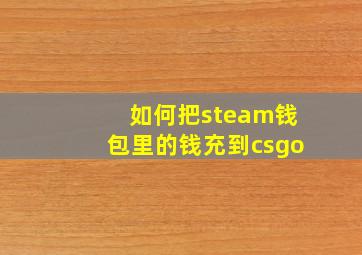 如何把steam钱包里的钱充到csgo