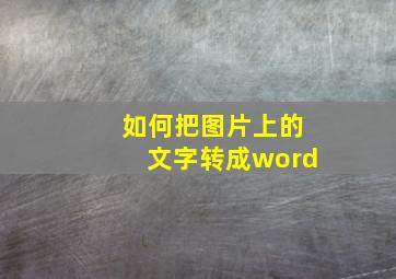 如何把图片上的文字转成word