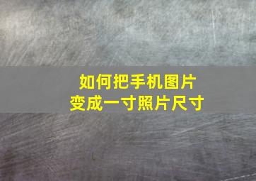 如何把手机图片变成一寸照片尺寸