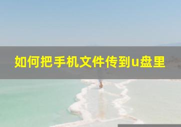 如何把手机文件传到u盘里