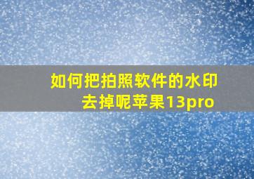 如何把拍照软件的水印去掉呢苹果13pro