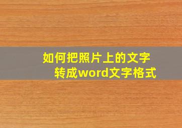 如何把照片上的文字转成word文字格式