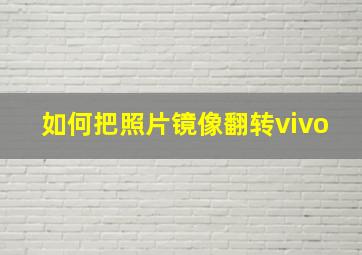 如何把照片镜像翻转vivo