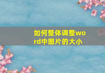 如何整体调整word中图片的大小