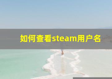 如何查看steam用户名