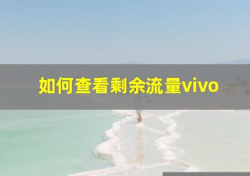 如何查看剩余流量vivo