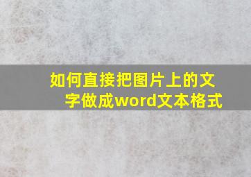 如何直接把图片上的文字做成word文本格式