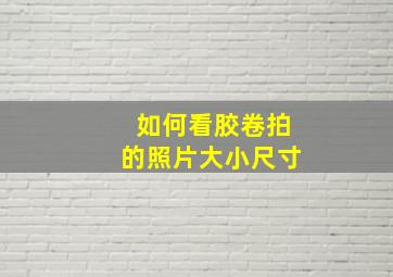 如何看胶卷拍的照片大小尺寸