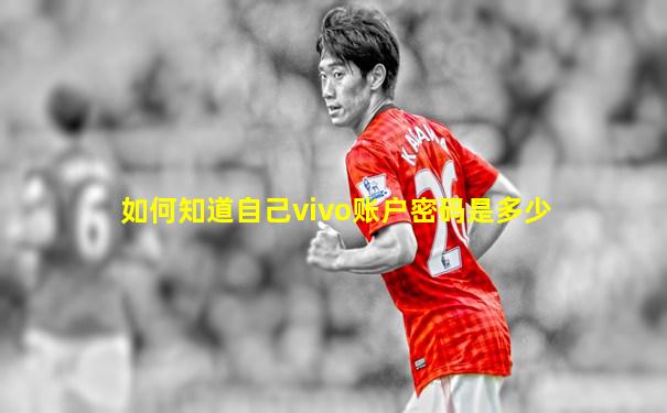 如何知道自己vivo账户密码是多少