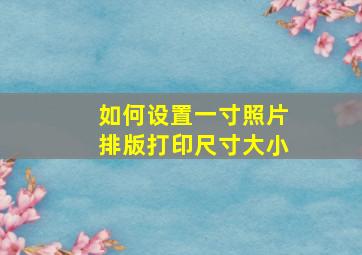 如何设置一寸照片排版打印尺寸大小