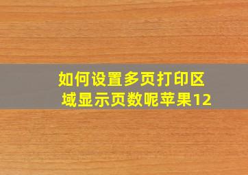 如何设置多页打印区域显示页数呢苹果12