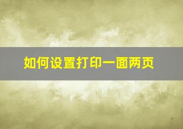 如何设置打印一面两页