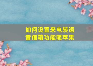 如何设置来电转语音信箱功能呢苹果