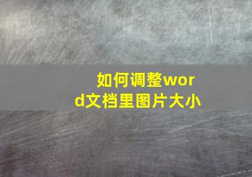 如何调整word文档里图片大小