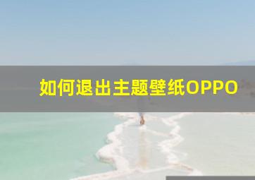 如何退出主题壁纸OPPO