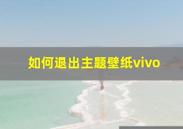 如何退出主题壁纸vivo