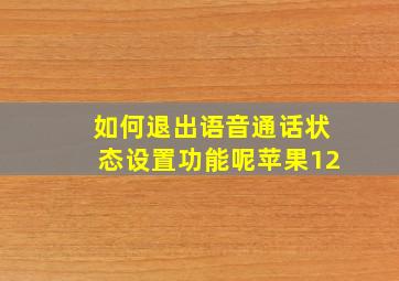 如何退出语音通话状态设置功能呢苹果12