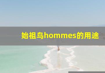 始祖鸟hommes的用途