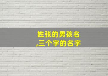 姓张的男孩名,三个字的名字