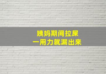 姨妈期间拉屎一用力就漏出来