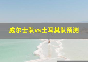 威尔士队vs土耳其队预测