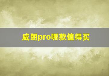 威朗pro哪款值得买