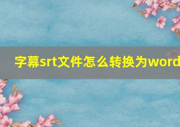 字幕srt文件怎么转换为word