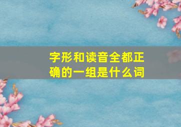 字形和读音全都正确的一组是什么词