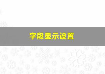 字段显示设置