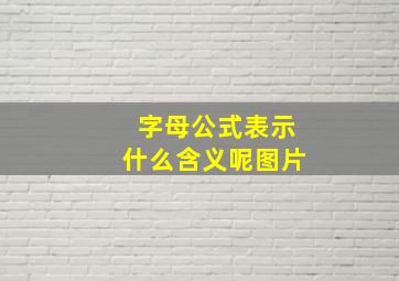 字母公式表示什么含义呢图片