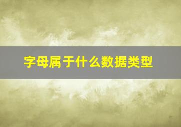 字母属于什么数据类型