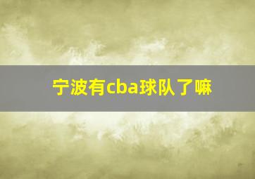 宁波有cba球队了嘛