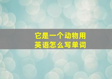 它是一个动物用英语怎么写单词