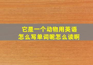 它是一个动物用英语怎么写单词呢怎么读啊