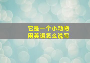 它是一个小动物用英语怎么说写