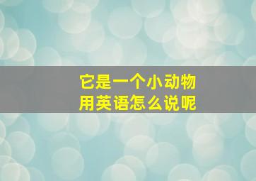 它是一个小动物用英语怎么说呢