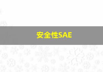 安全性SAE