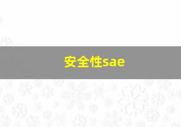 安全性sae