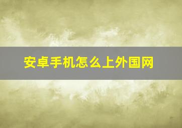 安卓手机怎么上外国网