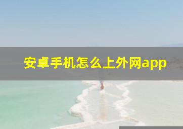 安卓手机怎么上外网app