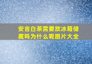 安吉白茶需要放冰箱储藏吗为什么呢图片大全