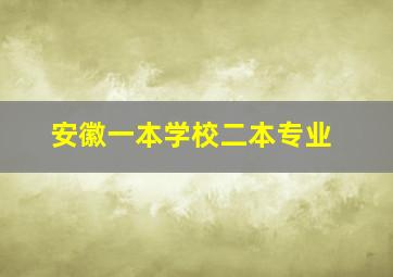 安徽一本学校二本专业