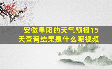 安徽阜阳的天气预报15天查询结果是什么呢视频