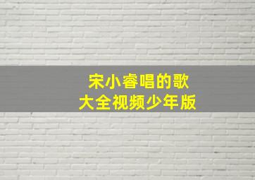 宋小睿唱的歌大全视频少年版