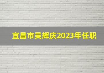 宜昌市吴辉庆2023年任职