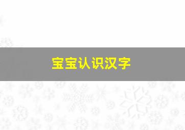 宝宝认识汉字