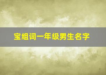 宝组词一年级男生名字